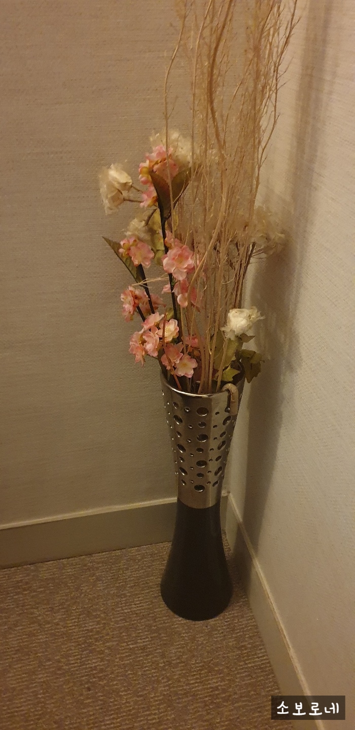 수아로마 이미지
