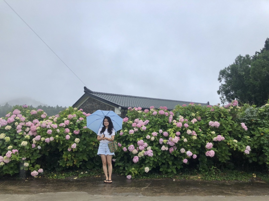 성이시돌젊음의집 이미지
