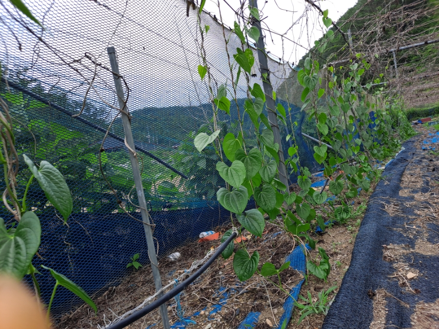 하수구119고압세척 이미지