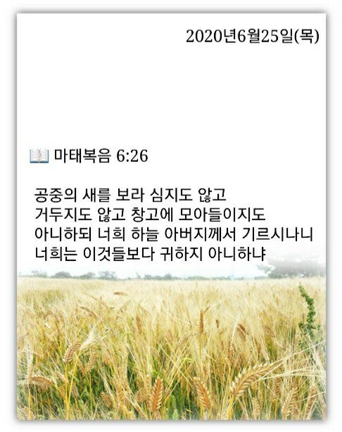 소소한일상 이미지