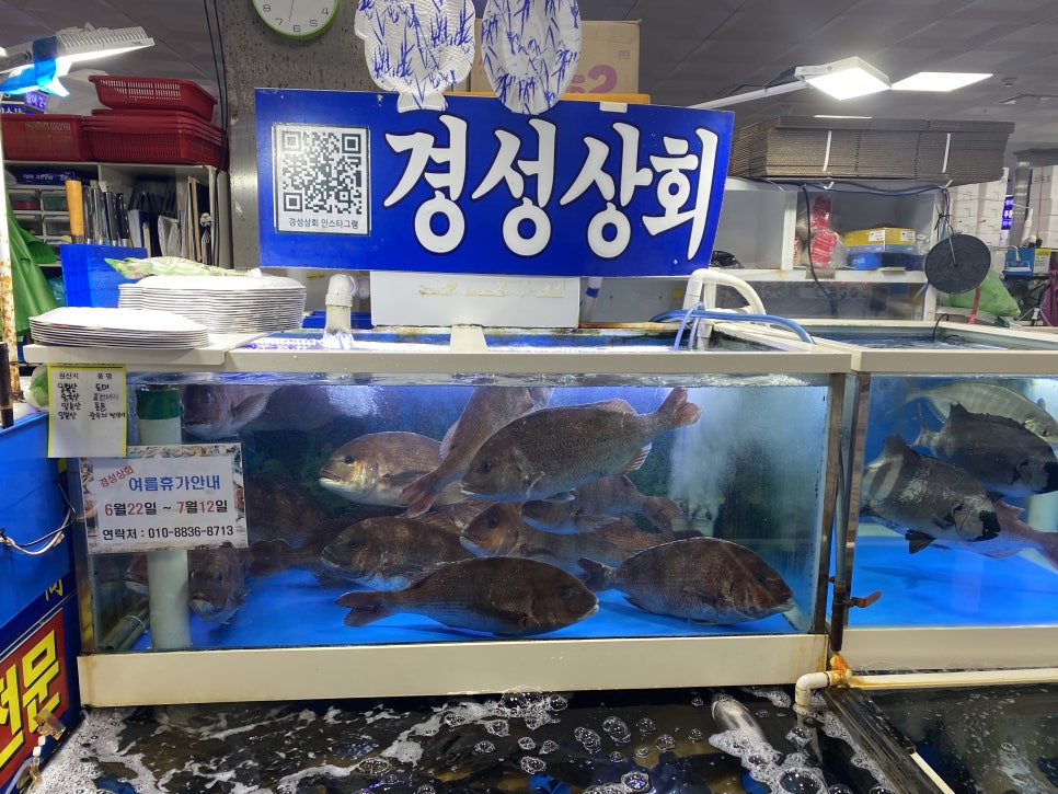 두두상회 이미지