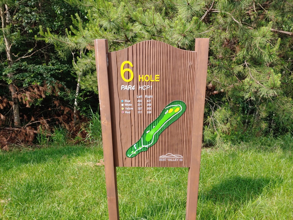 베스트퍼블릭 이미지