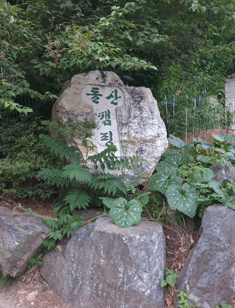 돌산커피 이미지