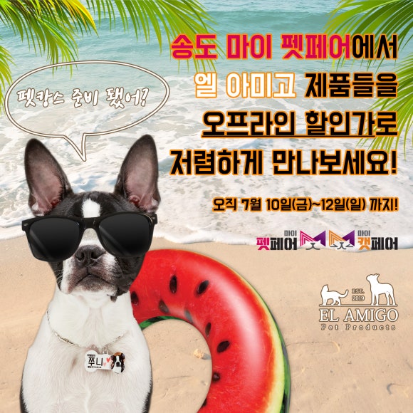 마이아미고 이미지