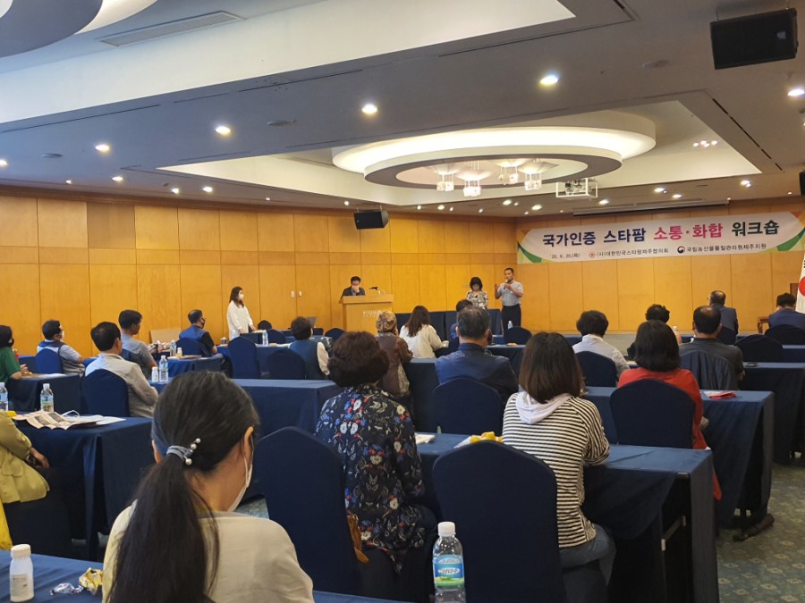 일출봉아로니아 이미지