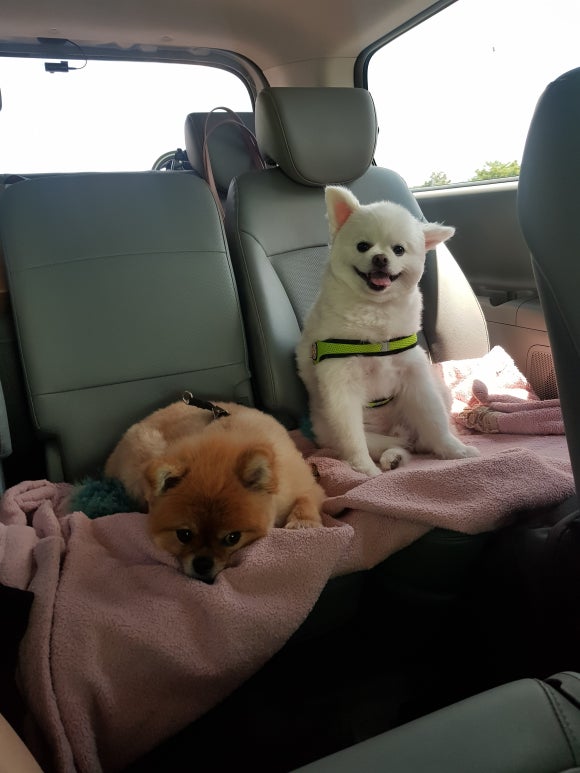 새부산렌탈 이미지
