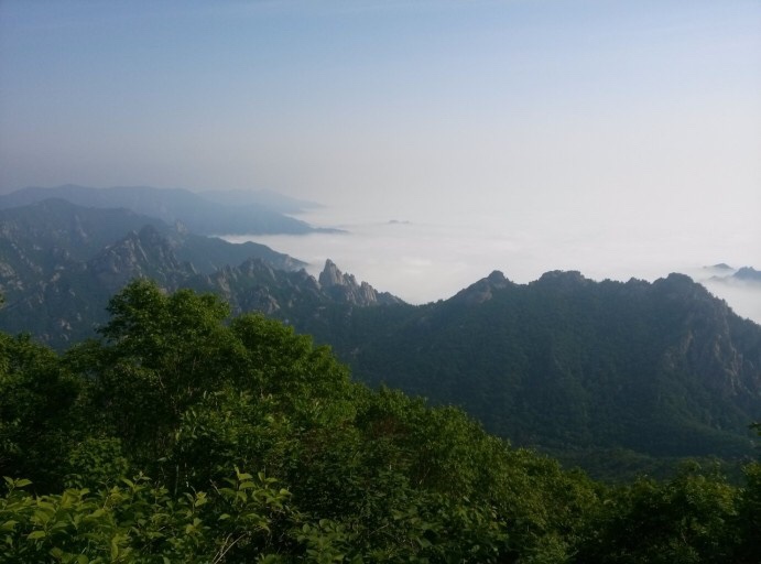 오시라 이미지