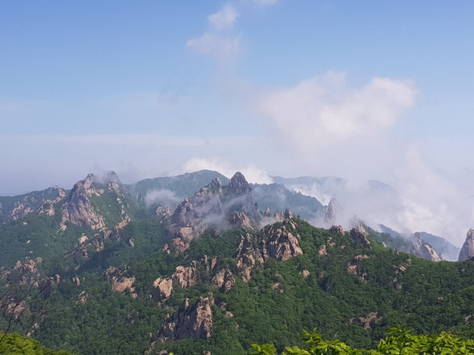 오시라 이미지