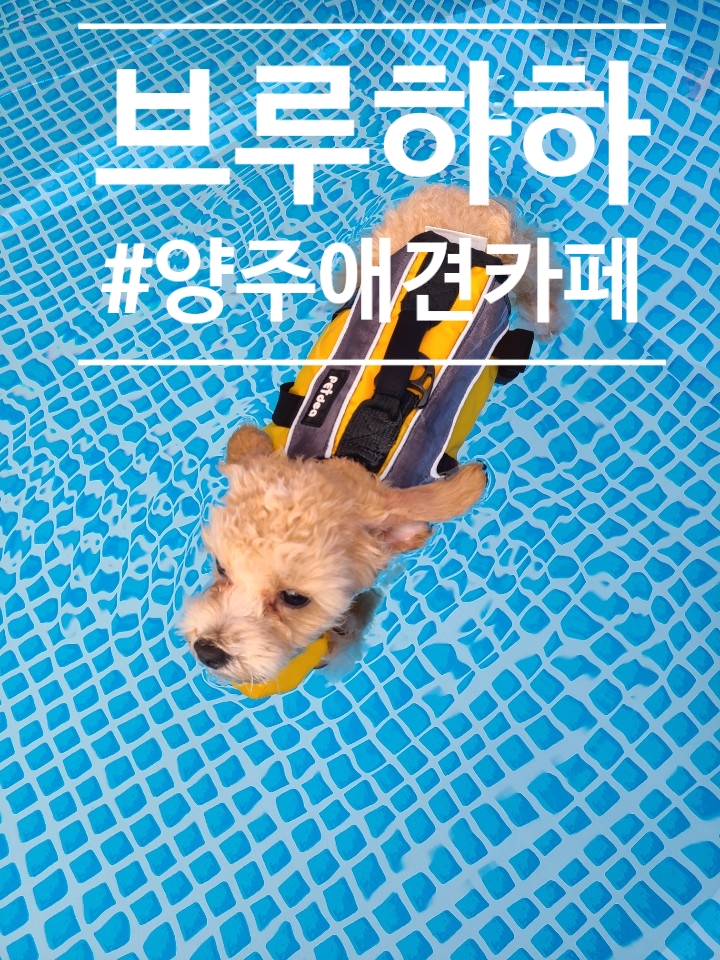 카페브루하하 이미지