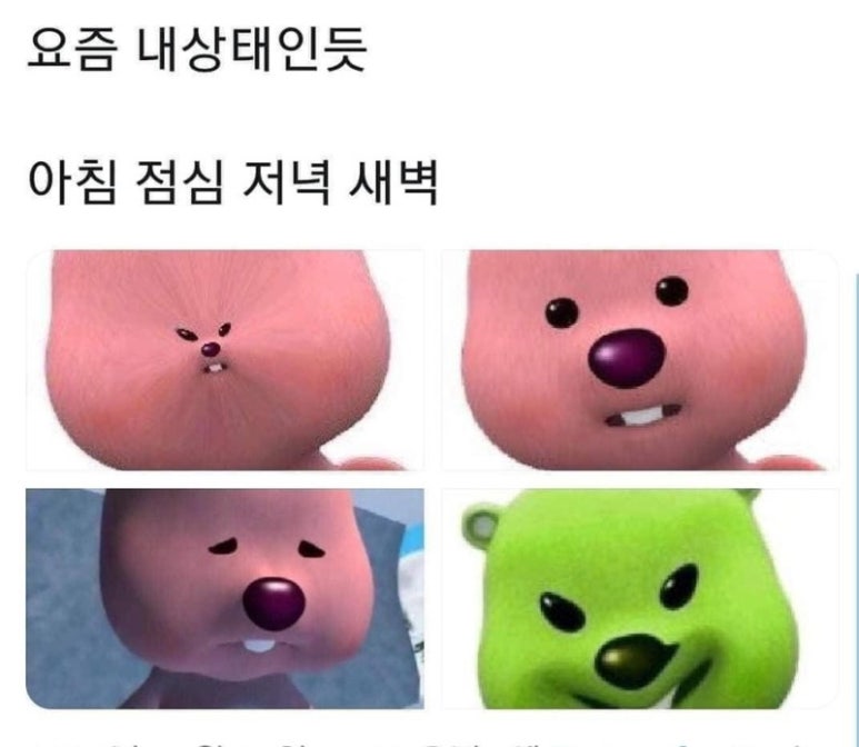 누메로도스 이미지