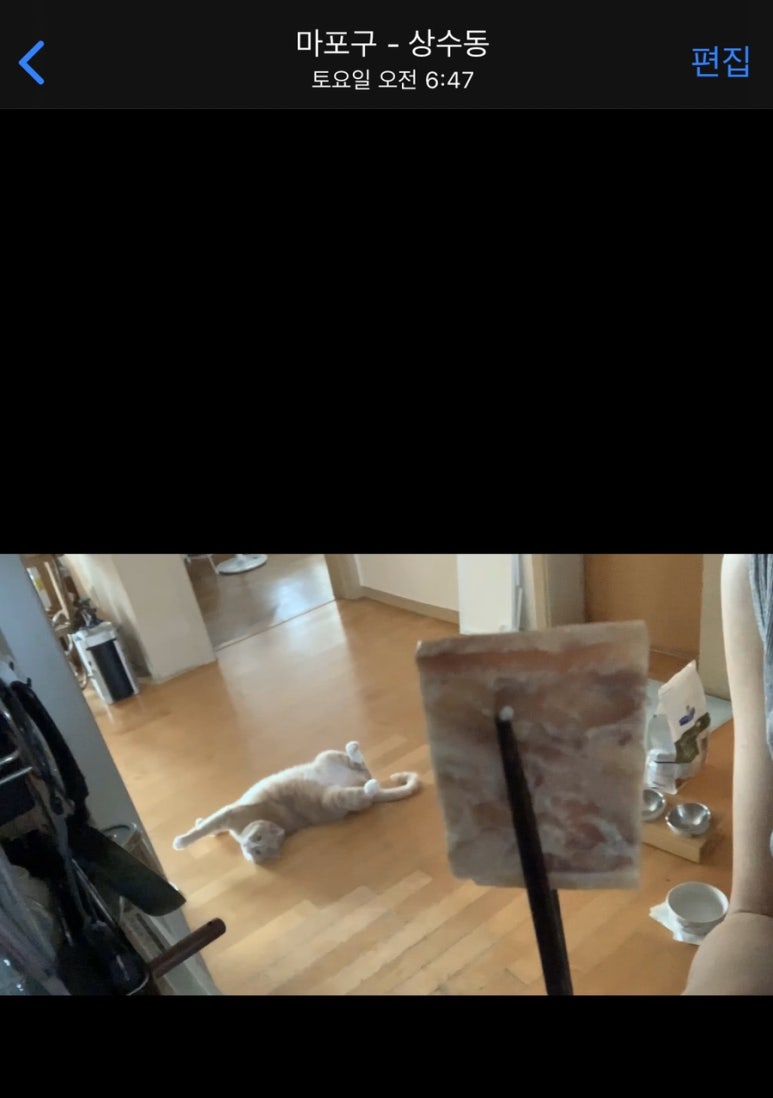 금수명가 이미지