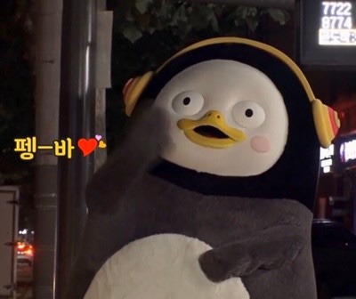 리본프랜즈 이미지