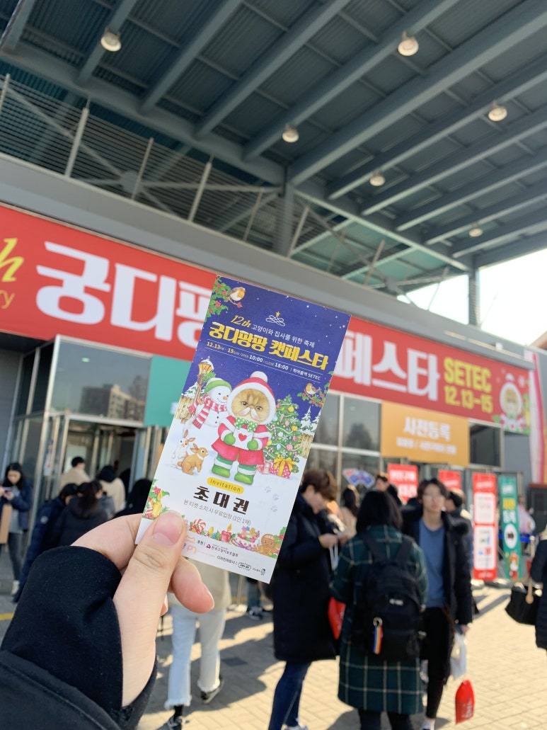 플랙스캣 이미지