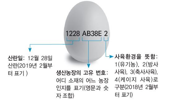좋은계란 이미지