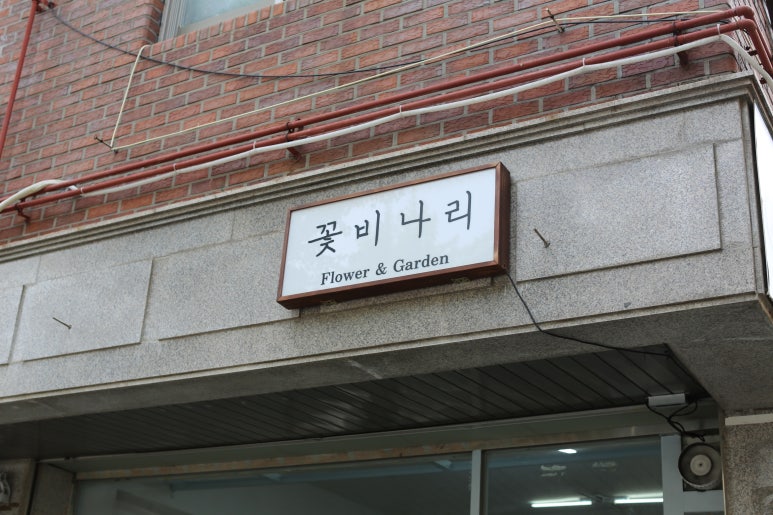 꽃비나리 이미지