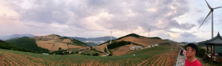 산골토종닭 이미지