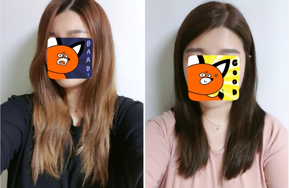 살롱드브리에 이미지