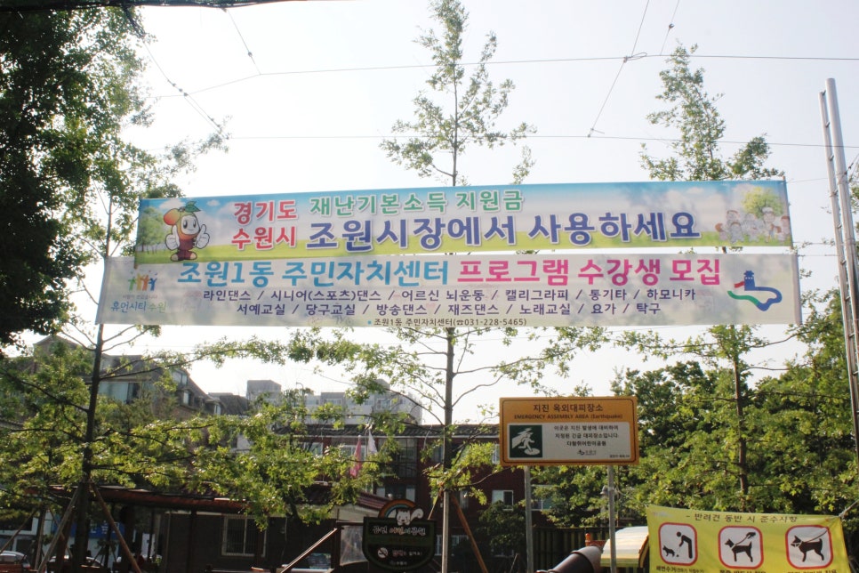옷띠 이미지