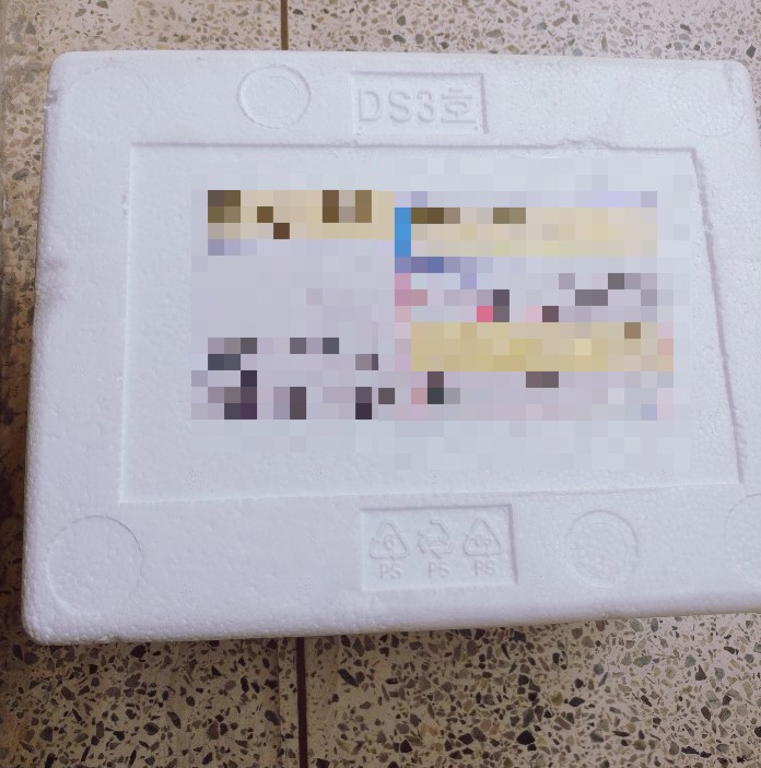 댕댕이 만찬 이미지
