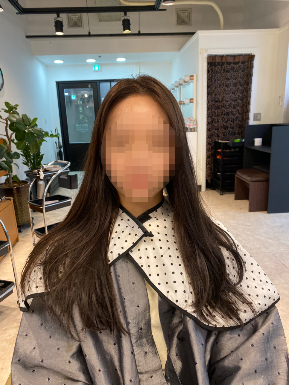 살롱드엘 이미지