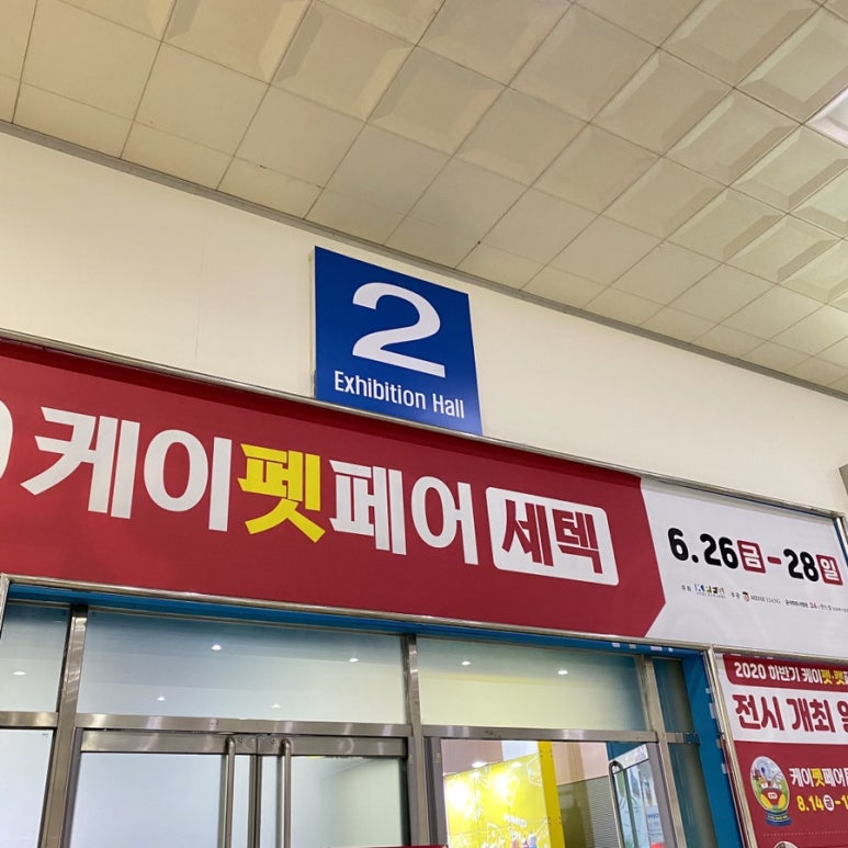돌이엔지 이미지