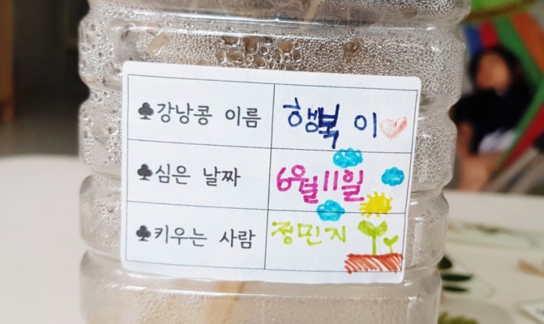 꼬투리걸 이미지