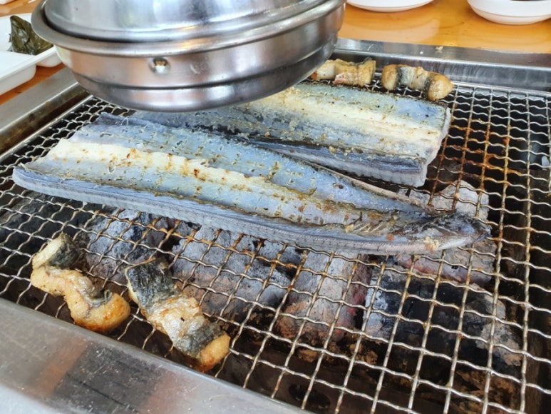 불끈민물장어 이미지