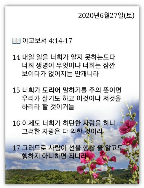 소소한일상 이미지