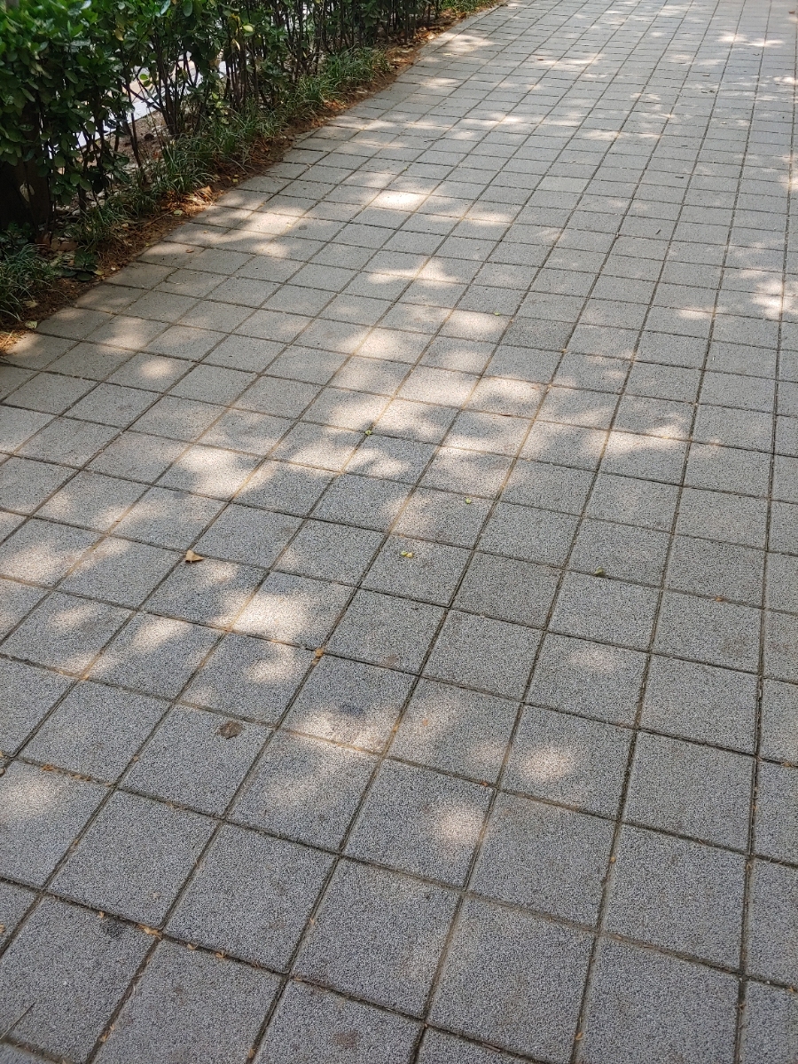 세러데이모닝 이미지