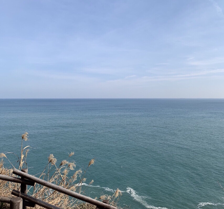 해안카써비스 이미지