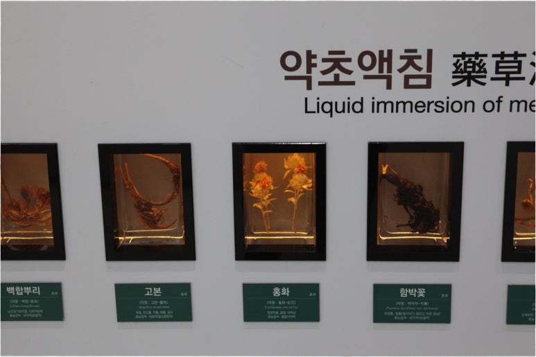 일등한의원 이미지