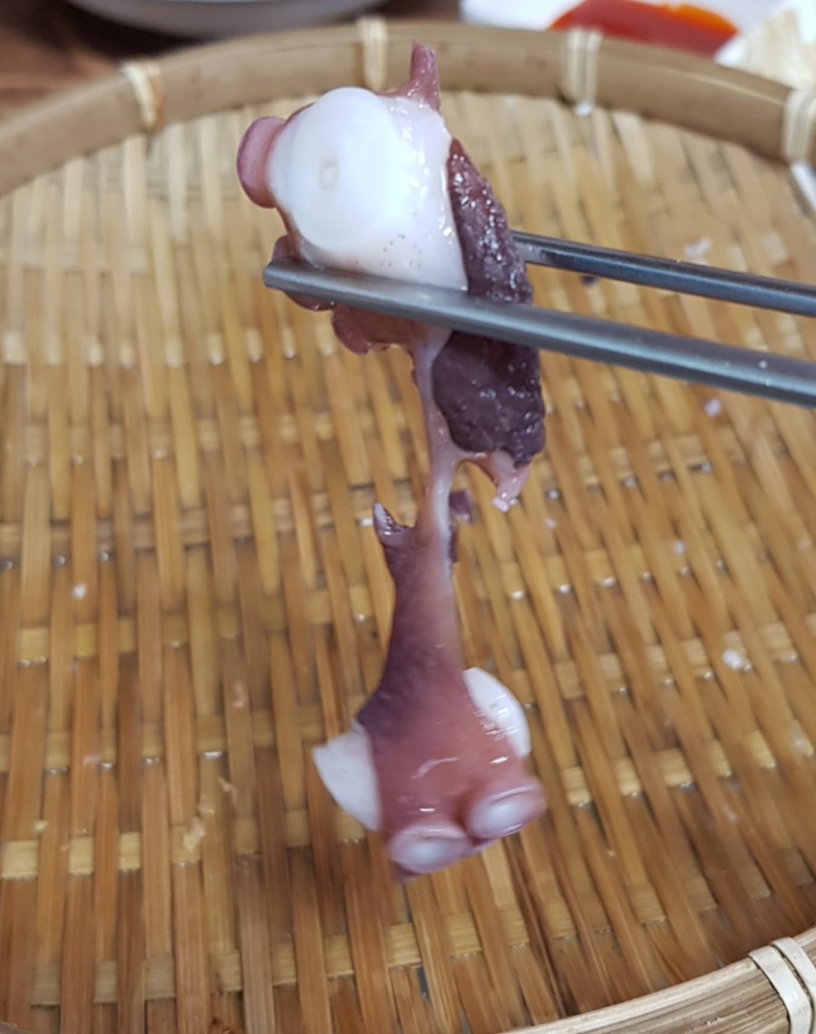 주막해물촌 이미지
