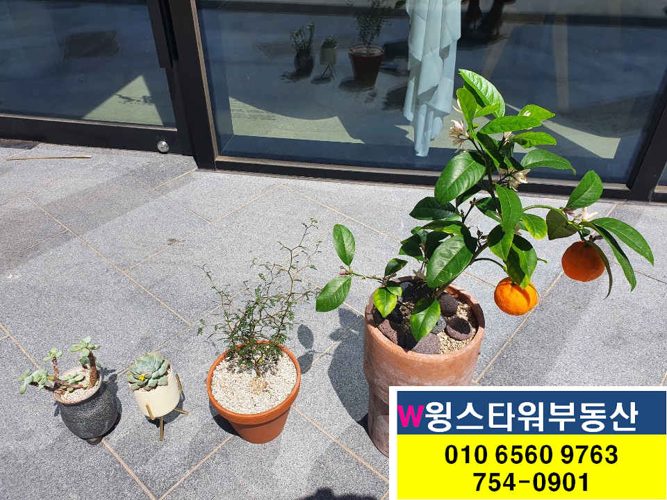 샌드블랑 이미지