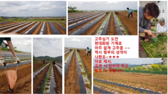 광명대한간호학원 이미지