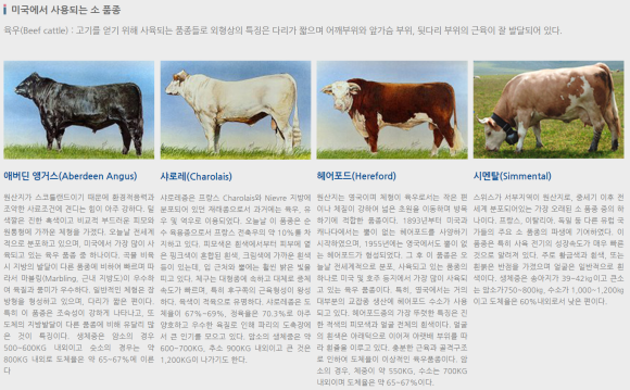 도사미트 이미지