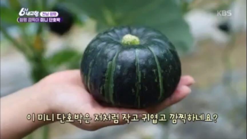 지니파파 이미지