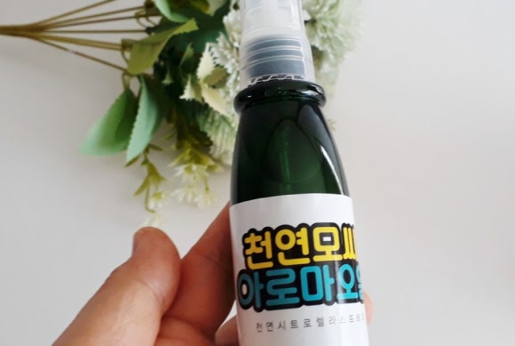 정훈맘만능 이미지