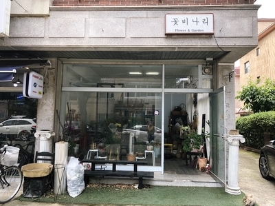 꽃비나리 이미지