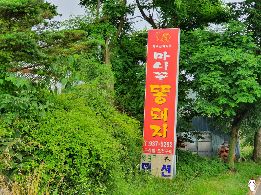 마니꼴똥돼지 이미지