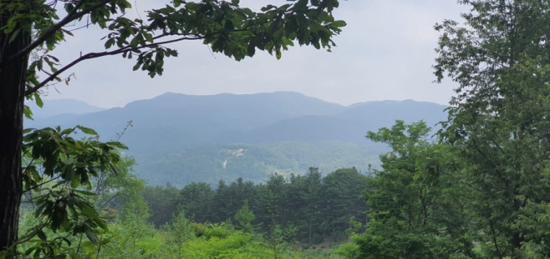 말미산정상 이미지