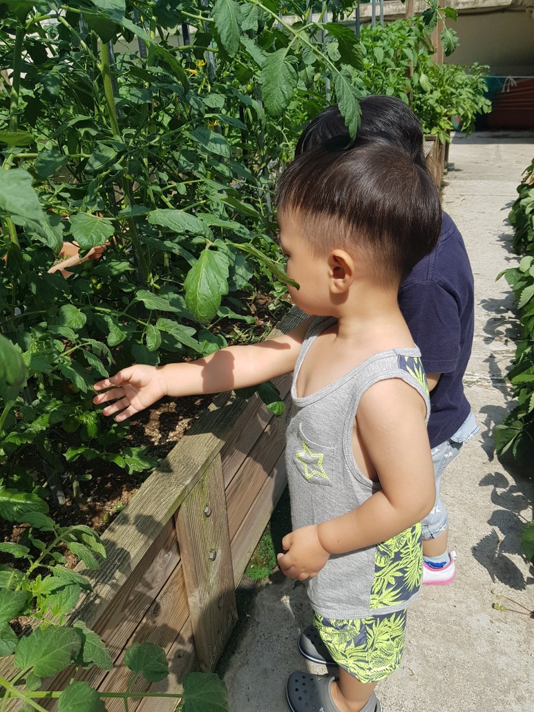 오남썸머힐어린이집 이미지