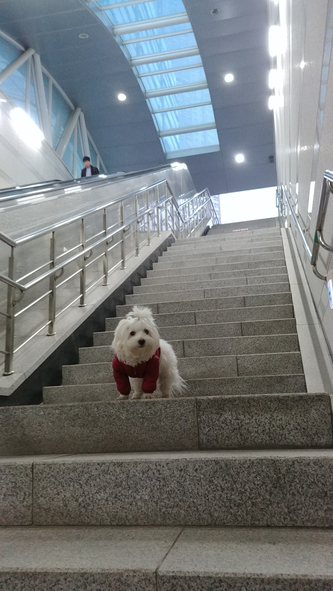 또리문방구 이미지