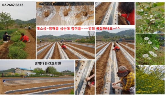 광명대한간호학원 이미지