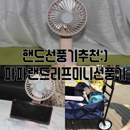 파파랜드 이미지