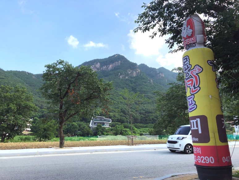 힐링치킨호프 이미지