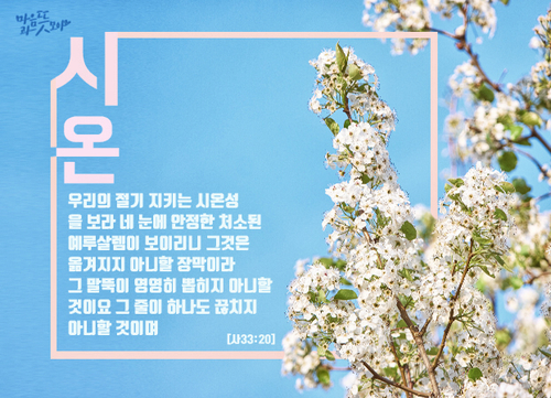 광야건설(주) 이미지