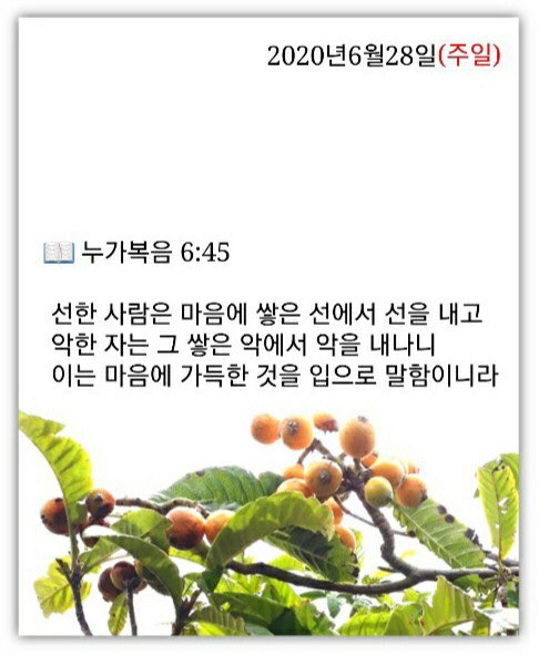 소소한일상 이미지