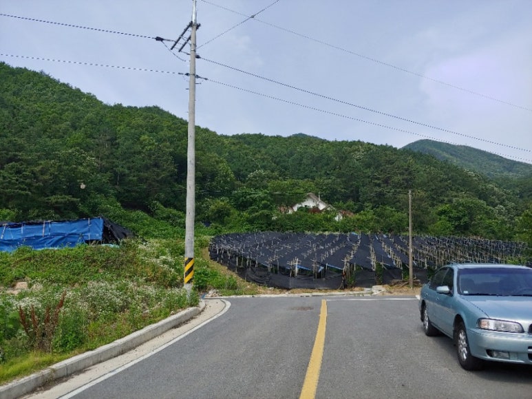 가은산초경골 이미지