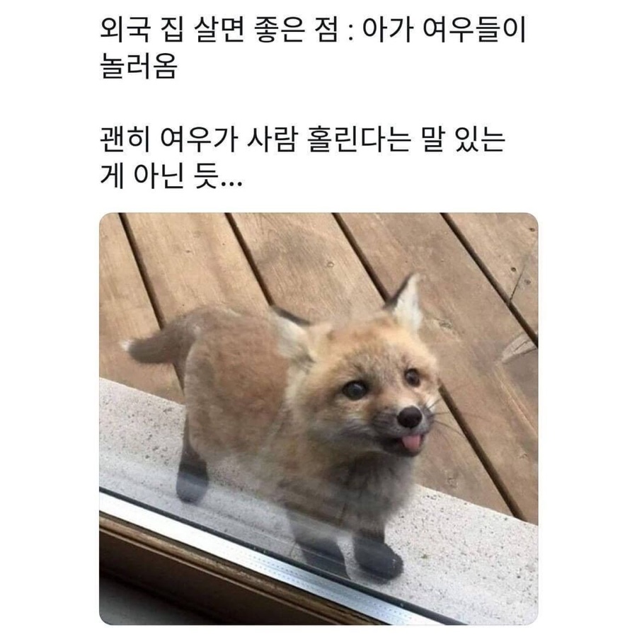 에이커Acre 이미지