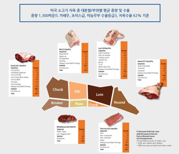 도사미트 이미지